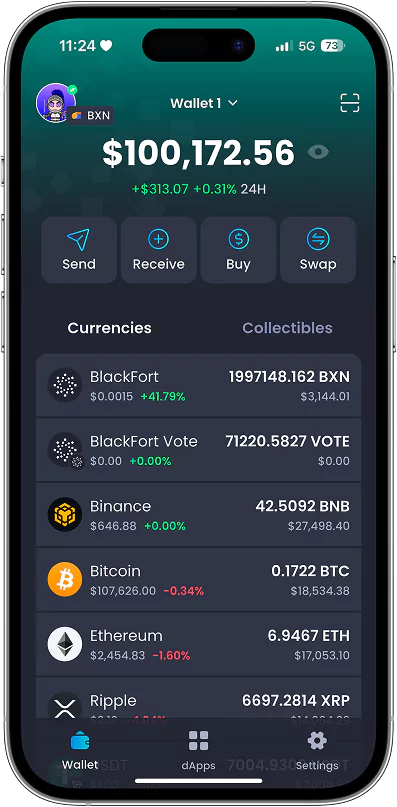 BlackFort Wallet App UI